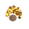 Metallknappar, 2 hål, 14 x 10 mm, Guld plated, 5 st - Bild 2