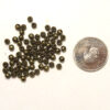 Dekorpärlor, 4 mm, Antik bronze, 50 st - Bild 3