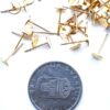 Örhänge, 11 x 6 mm, Guld plated, 25 st - Bild 2